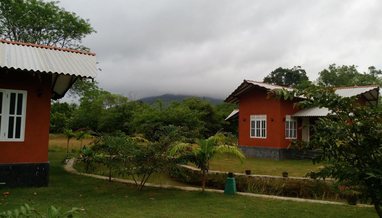 Ritigala Lodge Habarana Exterior foto